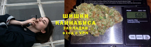 молекула духа Костерёво