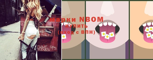 дмт Козельск