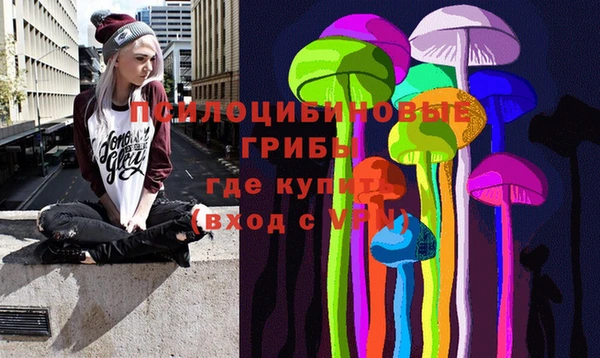 амфетамин Козловка