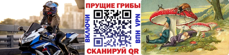 Галлюциногенные грибы MAGIC MUSHROOMS Кизел